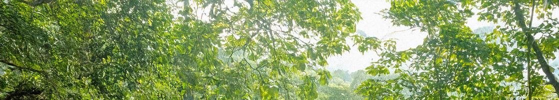 Rooftop PERSEA EVO INVERTER